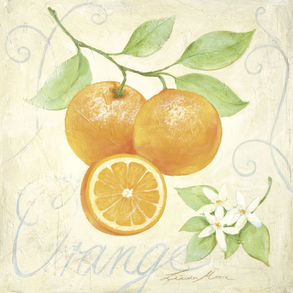 Linda Moore, ORANGE (Malerei, Orange, Studie, halbe Orange, Zitrusfrucht, Obst, Orangenblüten, Botanik, Nostalgie, Küche, Bistro, Esszimmer, bunt)