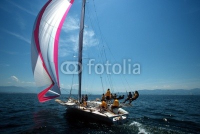 linous, Libera / Bodensee (segelboot, crew, gespann, trapez, spinnaker, lila, gelb, meer, blau, wasser, himmel, wolken, sonne, schatte)