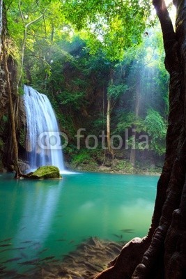 lkunl, Erawan Waterfall, Kanchanaburi, Thailand (fallen, wald, frische, sturzbach, thai, baum, cascade, Wasserfall, wasser, erstaunlich, schÃ¶n, verzweigt, katarakt, sauber, kÃ¼hl, flÃ¼sschen, fisch, flÃ¼ssig, foliage, frisch, grÃ¼n, himeji, urwald, landschaft, leaf, bewegung, natur, paradise, par)