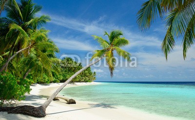 M.Rosenwirth, einsamer Strand mit Palmen (stranden, palme, malediven, urlaub, meer, ozean, natur, reisen, paradise, sommer, sand, sonnig, exotisch, fremdenverkehr, unberührt, schatten, allein, menschenleer, blau, himmel, landschaft, erholung, türkis, wasser, insel, robinson, karibik, wellnes)