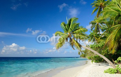 M.Rosenwirth, Strand mit Palmen (stranden, palme, malediven, urlaub, meer, ozean, natur, reisen, paradise, sommer, sand, sonnig, exotisch, fremdenverkehr, unberührt, schatten, allein, menschenleer, blau, himmel, landschaft, erholung, türkis, wasser, insel, robinson, karibik, wellnes)