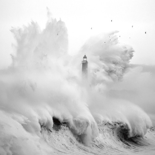 Marina Cano, Birds in the Storm (Fotokunst, Photokunst, schwarz/weißMeer, Wellen, Meeresbrise, Leuchtturm, Landschaftsfotografie, Wohnzimmer, Büro,Flur,Fotografie)