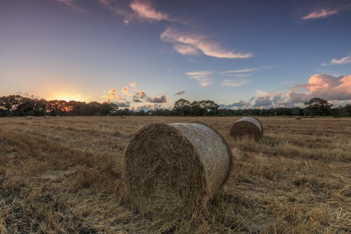 Markus Scholz, Herbst im Norden (Strohballen, Ernte, Stoppelfeld, Sonnenuntergang, Herbst, Jahreszeit, Norddeutschland, Landschaftsfotografie, Wohnzimmer, Treppenhaus, Wunschgröße, bunt)