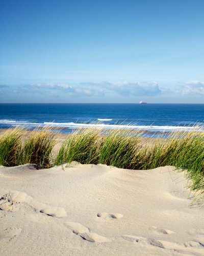 Matthias Weber, La mer du Nord (Fotografie, Photografie, Meeresbrise, Landschaft, Meer, Düne, Dünengras, Sand, Wellen, Horizont, Wellness, Badezimmer, bunt)