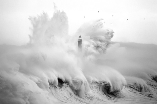 Marina Cano, Birds in the Storm (Fotokunst, Photokunst, schwarz/weiß, Meer, Wellen, Meeresbrise, Leuchtturm, Landschaftsfotografie, Wohnzimmer, Büro,Flur,Fotografie)