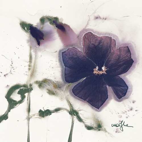 Marthe, Les Penses V (Blumen, Stiefmütterchen, Malerei, Aquarell, Wohnzimmer, Treppenhaus,  Esszimmer, zeitgenössisch, Wunschgröße, bunt)