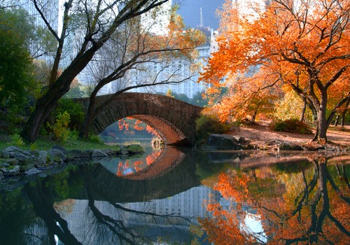 Michael Chen, Gapstow Bridge, Fall (Wunschgröße, Fotografie, New York, Metropole, Central parc, Teich, Brücke, Spiegelungen, Architektur, Skyline, Hochhäuser, Landschaft, Natur, Herbst, Herbstlaub, Jahreszeit, Arztpraxis, Wohnzimmer, bunt)