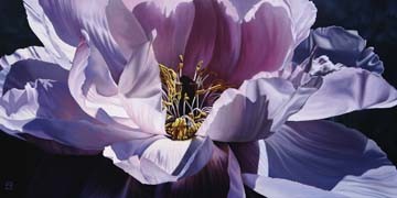 Michael Schuh, Inner Beauty (Blume, Blüte, Blütenblätter, Nahaufnahme, Floral, Fotorealismus, Malerei, Wunschgröße, Wohnzimmer, fliederfarben)