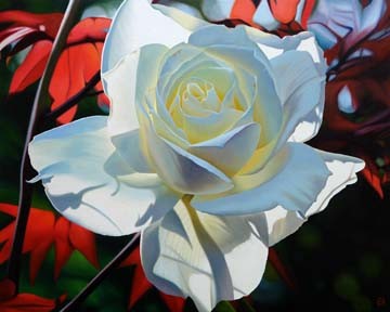 Michael Schuh, Summer's Last Rose (Rosen, Knospen, Blume, Blüte, Blütenblätter, Nahaufnahme, Floral, Fotorealismus, Malerei, Wunschgröße, Wohnzimmer, Treppenhaus, zart, weiß)