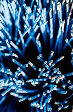 Michael  Krause, Hafen 2 (Kabel, Drähte, Stacheln, Hafen, Photokunst, Wunschgröße, Wohnzimmer, Treppenhaus, blau)