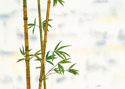Michael Ferner, Bambus (Bambus, floral, Pflanze, Natur, Asiatisch, Treppehaus, Wohnzimmer, Badezimmer, Malerei, Wunschgröße, bunt)
