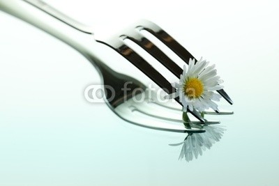 Nailia Schwarz, Steel Fork and flower (abzweigungen, glÃ¤nzend, silber, lunch, blume, blÃ¼hen, vegetarisch, vegan, veganismus, spiegel, besinnung, rostfrei, stahl, restaurant, bankett, sauber, close-up, deko, entwerfen, konzept, konzeptionell, abendessen, tischgedeck, gericht, elegant, fei)