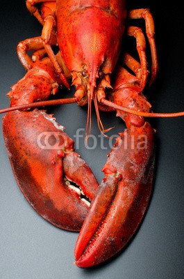 nanisimova, Lobster on black (antenne, hintergrund, schwarz, gekocht, fang, claw, kochen, cooked, kochen, flusskrebs, crustacean, kulinarisch, feinkost, diÃ¤t, abendessen, essen, essen, frisch, frische, feinschmecker, gesund, hummer, lunch, luxus, marine, mahlzeit, menÃ¼, ernÃ¤hrun)