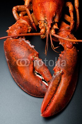 nanisimova, Prepared lobster on black (hummer, tier, antenne, hintergrund, schwarz, gekocht, fang, claw, kochen, cooked, kochen, flusskrebs, crustacean, kulinarisch, feinkost, diÃ¤t, abendessen, essen, eleganze, fisch, essen, frisch, frische, voll, feinschmecker, gesund, lange, lunch, luxu)