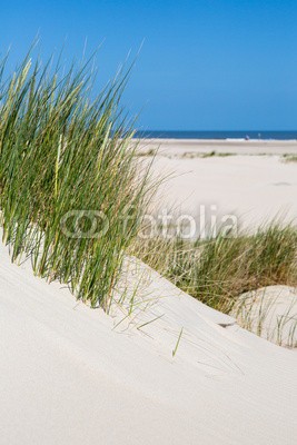 narttekg, Dünenlandschaft auf Norderney, Deutschland (sanddünen, sanddünen, gras, sandig, sand, sand, grün, blau, entspannen, urlaub, fern, himmel, horizont, insel, norderney, nordsee, dänemark, holland, holland, sylt, urlaub, sportlich, meer, salzwasser, küste, küstenlinie, ufer, st, spaziergan)