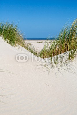 narttekg, Dünenlandschaft auf Norderney, Deutschland (sanddünen, sanddünen, gras, sandig, sand, sand, grün, blau, entspannen, urlaub, fern, himmel, horizont, insel, norderney, nordsee, dänemark, holland, holland, sylt, urlaub, sportlich, meer, salzwasser, küste, küstenlinie, ufer, st, spaziergan)