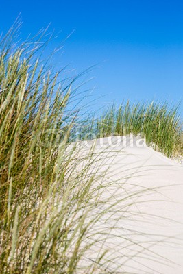 narttekg, Dünenlandschaft auf Norderney, Deutschland (sanddünen, sanddünen, gras, sandig, sand, sand, grün, blau, entspannen, urlaub, fern, himmel, horizont, insel, norderney, nordsee, dänemark, holland, holland, sylt, urlaub, sportlich, meer, salzwasser, küste, küstenlinie, ufer, st, spaziergan)