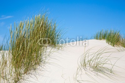 narttekg, Dünenlandschaft auf Norderney, Deutschland (sanddünen, sanddünen, gras, sandig, sand, sand, grün, blau, entspannen, urlaub, fern, himmel, horizont, insel, norderney, nordsee, dänemark, holland, holland, sylt, urlaub, sportlich, meer, salzwasser, küste, küstenlinie, ufer, st, spaziergan)