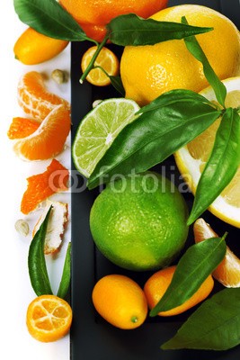 Natalia Klenova, Citrus fruits border (divers, hintergrund, landesgrenzen, schwarz, zitrusgewächs, clementine, close-up, bunt, schnitt, nachspeise, diät, different, exotisch, essen, frisch, frische, obst, pampelmusen, grün, gruppe, halb, ernten, gesund, zutaten, saftiges, leaf, zitrone, lif)
