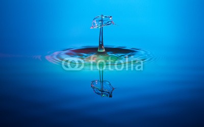 neondream, Highspeed Fotografie (wassertropfen, wasser, flüssigkeit, trinken, makro, abstrakt, kunst, spiegelung, flüssigkeit, balance, frieden, nass, klar, durchsichtig, trinken, blau, seele, frisch, trinkwasser, quelle, schirm, fotografi)