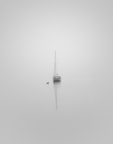 Nicholas Bell, Companions (Meeresbrise, Nebel, Dunst, Segelboot, Wasservogel,  Einsamkeit, Wohnzimmer, Treppenhaus, Wunschgröße, Fotografie, schwarz/weiß)