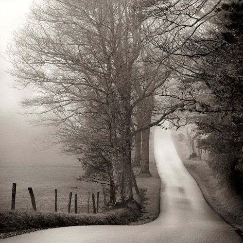 Nicholas Bell, Shades Cove (Landschaft, Straße, Bäume, Felder, Einsamkeit,  Tristesse, Wohnzimmer, Treppenhaus, Wunschgröße, Fotografie,  schwarz/weiß)