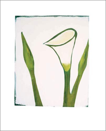 Nicolas Le Beuan Bénic, Arum, 2003 (Modern, Malerei, Zeichnung, Natur, Pflanze, Aronstab, weiß / grün)