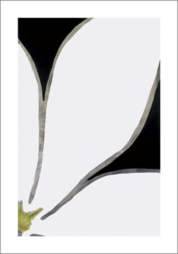 Nicolas Le Beuan Bénic, Untitled, 2005 (Büttenpapier) (Modern, Malerei, Zeichnung, Abstrakt, Blüten, Blütenblätter, schwarz / weiß)