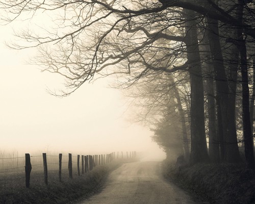 Nicholas Bell, Hyatt Lane (Landschaft, Straße, Bäume, Felder, Einsamkeit, Dunst, Nebel, Winterlandschaft, Tristesse, Wohnzimmer, Treppenhaus, Wunschgröße, Fotografie,  schwarz/weiß)