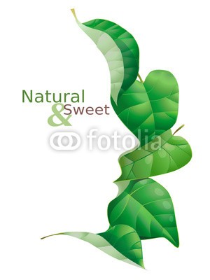 nuvolanevicata, foglie (schönheit, pflanzenheilkunde, gesicht, hydration, jugendzeit, haut, konzept, ideen, wasser, chlorophyll, natur, natur, süss, bonbons, silhouette, pflege, vektor, ökologie, frisch, frühling, grün, ausreisen, kosmetik, reinigung, pflanze, krau)