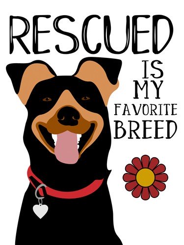 Ginger Oliphant, Rescued is my Favourite Breed (Hund, Rasse, Rettung, Inspiration, Plakativ, Grafik, Wohnzimmer, Treppenhaus, Wunschgröße)