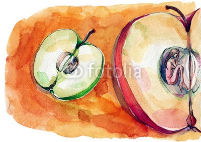 okalinichenko, apple heart (äpfel, essen, obst, grün, sektion, kreuz, weiß, essen, isoliert, gesund, life, frische, organisch, stengel, samen, rot, süss, embryo, stück, hintergrund, menschlich, halb, leute, körper, reif, neu, nachkommenschaft, geschlechtlich, nieman)