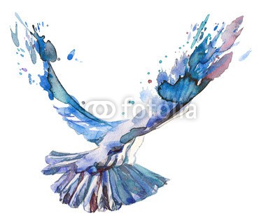 okalinichenko, bird (fliege, vögel, freiheit, schwarz, taube, flügel, weiß, flügel, frei, fliegender, peace, federn, taube, hintergrund, brotaufstrich, flug, federn, natur, niemand, angestrahlt, tier, horizontale, symbol, spirit, spiritual, zeichnung, herde, fait)