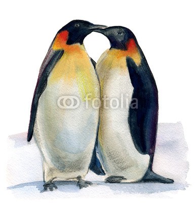 okalinichenko, couple of penguins (paar, pinguin, liebe, vögel, süden, tier, 2, winter, wildlife, paar, pinguin, eis, miteinander, blau, schnee, natur, draußen, antarktis, kalt, freezing, kaiser, western, anblick, tage, tier, provinz, life, rutschig, weihnachten, abbildung, wildnis, fros)