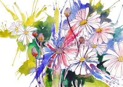 okalinichenko, daisy flowers (kunst, hintergrund, schöner, schönheit, hell, klar, verfärbt, gänseblümchen, tage, umwelt, familie, feld, blume, focus, vordergrund, gras, grün, gruppe, zuwachs, kopf, kraut, idyllisch, abbild, isoliert, large, lawn, leaf, wiese, natur, nieman)
