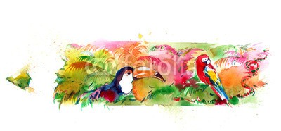 okalinichenko, ecology (tier, vögel, farb, tropisch, baum, tukan, multi, haustier, schnabel, klima, wild, wildlife, orange, leaf, papagei, reisen, locations, wald, draußen, schönheit, szene, schöner, natur, stift, umwelt, lush, large, laubwerk, kopf, holz, ín, life, süde)