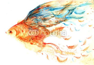 okalinichenko, fantasy (fantasy, goldfisch, vögel, flügel, fisch, haustier, natur, life, schwimmenten, unterwasser, flosse, farb, wasser, meer, flügel, abbild, schwanz, abbildung, korallen, körper, kunst, vektor, hell, schönheit, schale, fliegender, weiß, geformt, szen)