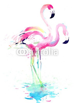 okalinichenko, flamingo (rosa, flamingo, paar, haustier, tier, vögel, dekoration, locations, tropisch, wasser, natur, reisen, gras, klima, draußen, meer, vögel, schnabel, reise, ín, grün, front, weiß, schöner, tier, life, federn, kindred, verfärbt, verziert, tierpark, wil)