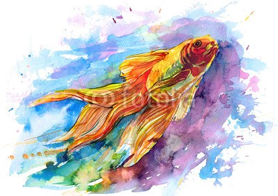 okalinichenko, gold fish (abstrakt, betätigung, tier, kunst, hintergrund, karpfen, verfärbt, schönheit, deko, beschreibend, flosse, feuer, fisch, flamme, schwimmend, süßwasser, gold, goldfisch, grafik, abbildung, abbild, isoliert, bewegung, natur, objekt, orange, verzier)