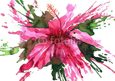 okalinichenko, hibiscus flower (hibiscus, blume, malerei, malen, kunst, platsch, entladen, abstrakt, alternd, hintergrund, banner, schönheit, botanik, dekoration, entwerfen, effekt, element, weiblich, flora, floral, rahmen, grafik, urlaub, abbildung, abbild, symbolik, isolier)