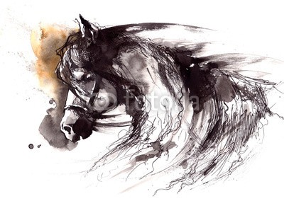 okalinichenko, horse (tier, bewegung, running, pferd, natur, haustier, zuchthengst, schönheit, aktion, säugetier, weiß, staub, freiheit, 1, grau, energie, stärke, verfärbt, amphetamine, draußen, eleganze, gnade, wild, lebensfreude, physisch, reinrassig, schicken, busines)