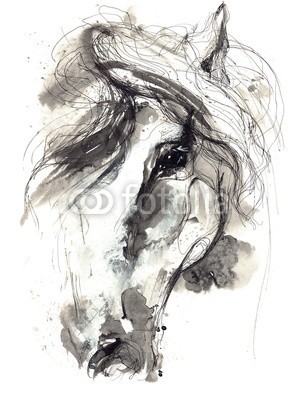 okalinichenko, horse (gut, anblick, tier, säugetier, pferd, auge, haustier, kopf, close-up, natur, zuchthengst, häusliche, makro, reinrassig, stute, schönheit, mähne, weiß, szene, vieh, haare, sport, eleganze, wimper, schauend, schöner, rennpferd, 1, gesicht, kräft)
