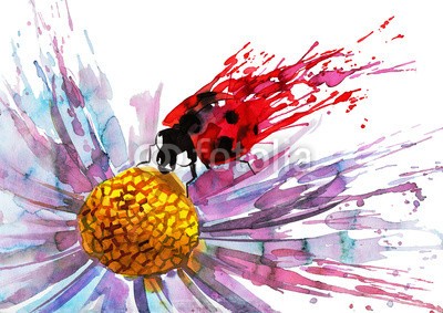 okalinichenko, ladybug on flower (marienkäfer, blume, grafik, malerei, malen, kunst, platsch, entladen, käfer, natur, frühling, insekt, klein, hintergrund, isoliert, weiß, rot, sitzend, leaf, thema, sommer, gehetzt, pflanze, tau, umwelt, marienkäfer, tier, wiese, nieman)