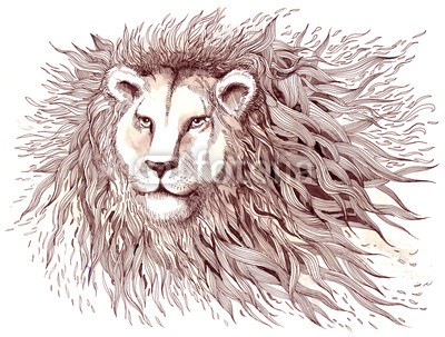 okalinichenko, lion (tier, katze, löwe, pelz, männlich, mähne, katzen, groß, säugetier, barthaare, lowe, wildlife, fleischfresser, 1, haare, pelzig, large, lebewesen, kopf, portrait, gefährlich, natur, anblick, kräfte, biest, mächtig, vordergrund, front, stärk)