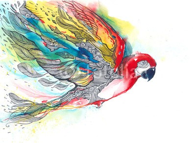 okalinichenko, parrot (haustier, papagei, ara, rot, flaumig, groß, pfiffig, vortragende, gefleckt, grau, kopf, auge, fliegender, vögel, klima, tier, tropisch, natur, flügel, federn, multi, verfärbt, schnabel, schönheit, wild, wildlife, blau, saturiert, grün, reisen, gel)