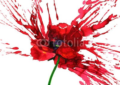 okalinichenko, poppy flower (mohn, blume, malerei, malen, kunst, platsch, entladen, abstrakt, alternd, hintergrund, banner, schönheit, botanik, dekoration, entwerfen, effekt, element, weiblich, flora, floral, rahmen, grafik, urlaub, abbildung, abbild, symbolik, isoliert, natürlic)