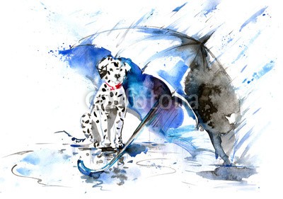 okalinichenko, rain (regen, hund, regenschirm, tier, haustier, hübsch, warten, draußen, gehörsam, schauend, canino, sturm, tage, jahreszeit, schutz, entladen, klima, wetter, beruhigt, nass, bürgersteig, weiß, langeweile, geduld, szene, wasser, natur, tristesse, kal)