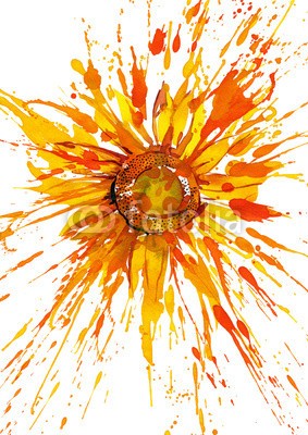 okalinichenko, sunflower (hintergrund, schönheit, hell, strahlend, verfärbt, coloured, gänseblümchen, blume, kopf, abbildung, abbild, isoliert, leaf, literatur, natürlich, natur, niemand, objekt, malerei, blütenblätter, pflanze, jahreszeit, geformt, single, vierec)