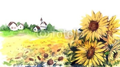 okalinichenko, sunflowers (dorf, sonnenblume, sommer, natur, grün, draußen, landschaft, verfärbt, pflanze, ackerbau, landlich, haus, szene, kirche, himmel, sunlight, gelb, architektur, blume, feld, kultur, ernte, gebäude, baum, tage, gras, bauernhof, gebaut, umwelt, provin)