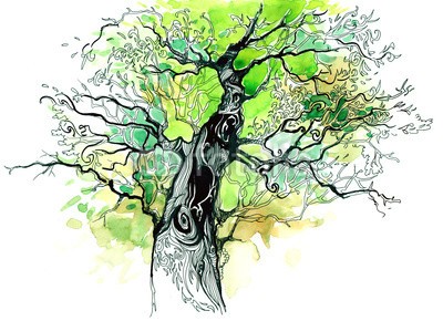 okalinichenko, tree trunk (baum, leaf, trunk, verzweigt, pflanze, natur, umwelt, laubwerk, niemand, grün, laubabwerfend, objekt, lush, large, single, isoliert, borke, weiß, anblick, holz, stengel, verfärbt, lebensfreude, zuwachs, draußen, angeln, abbild, eiche, sunlight, ra)